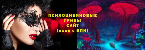 круглые Алзамай