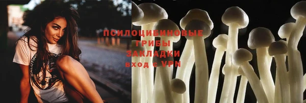 мяу мяу мука Алексеевка
