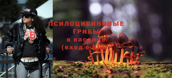 мяу мяу мука Алексеевка