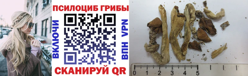 Галлюциногенные грибы MAGIC MUSHROOMS  купить наркотики цена  Мещовск 